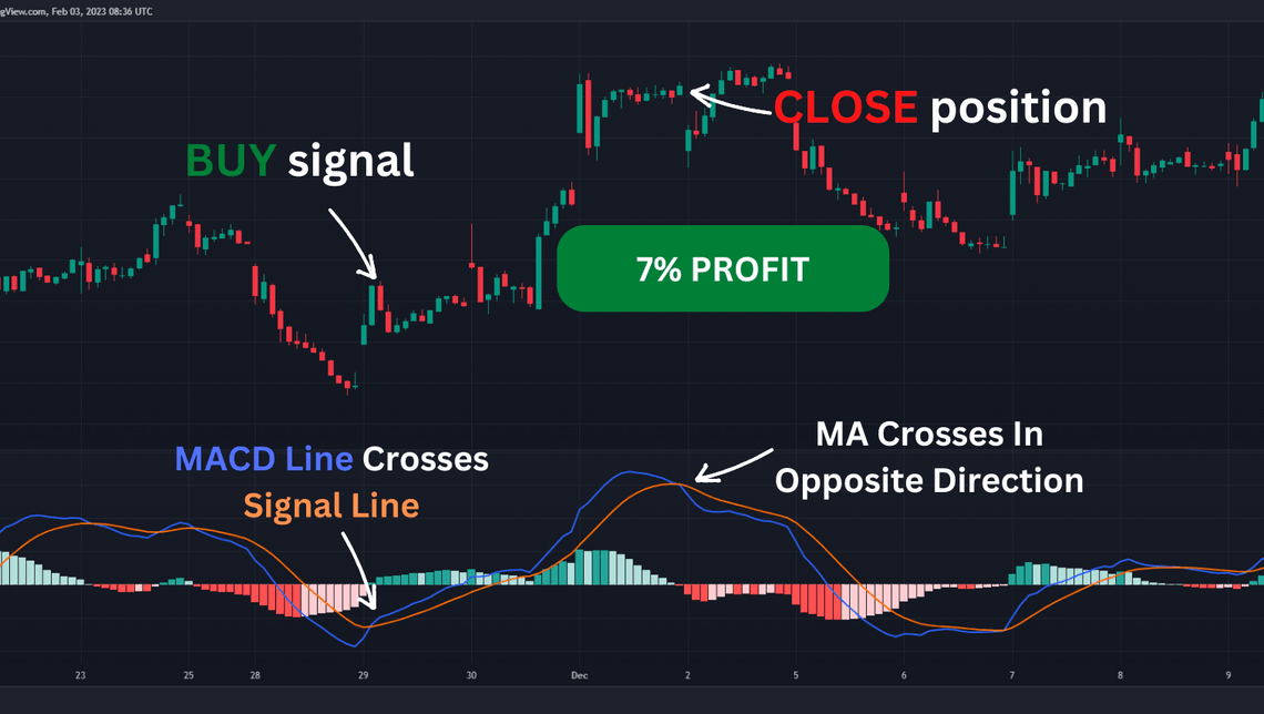 GDXJ Strategy Buy Signal