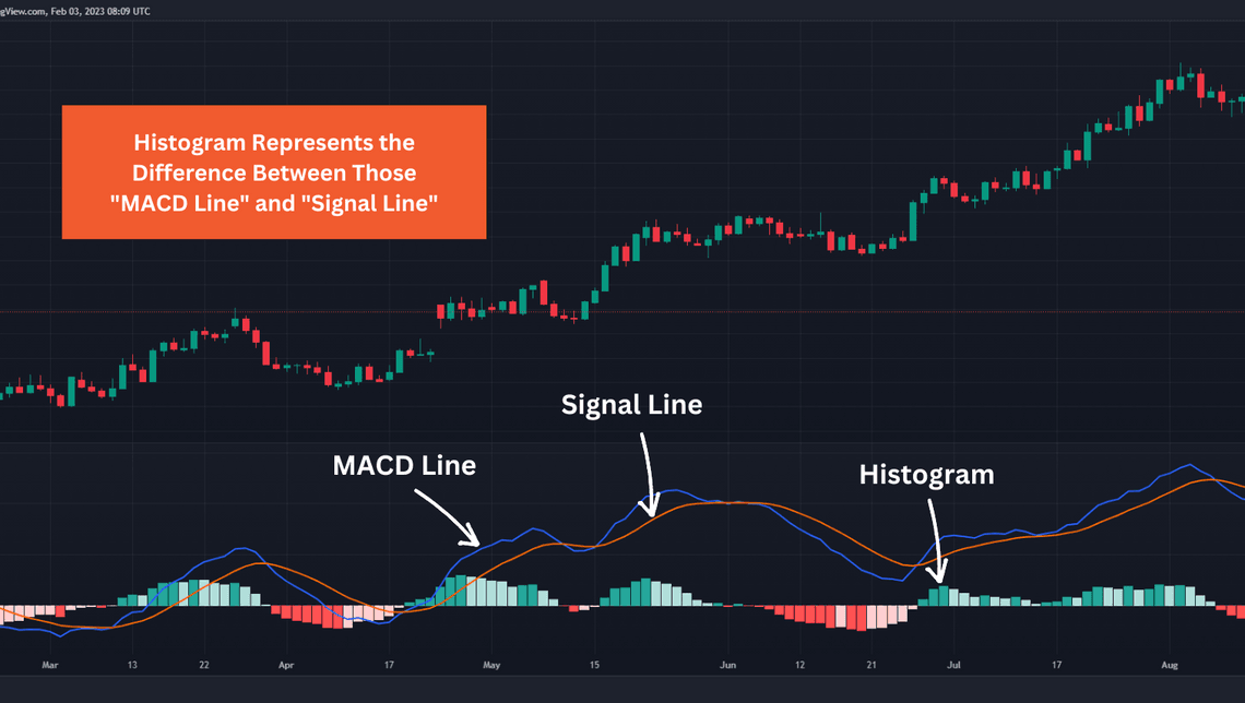 MACD Indicator